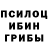Галлюциногенные грибы Psilocybine cubensis kershanskiy