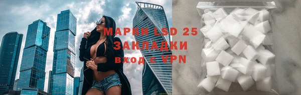 PSILOCYBIN Верхний Тагил