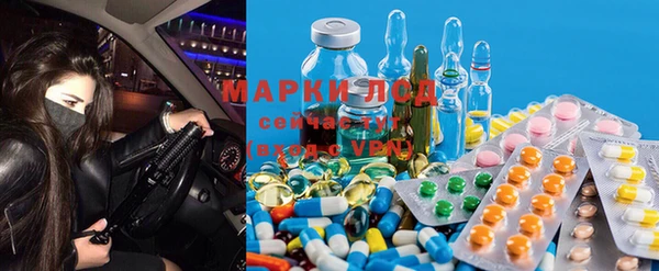 PSILOCYBIN Верхний Тагил