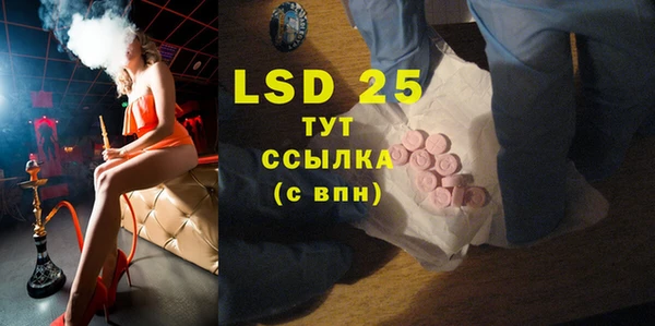 спиды Верея