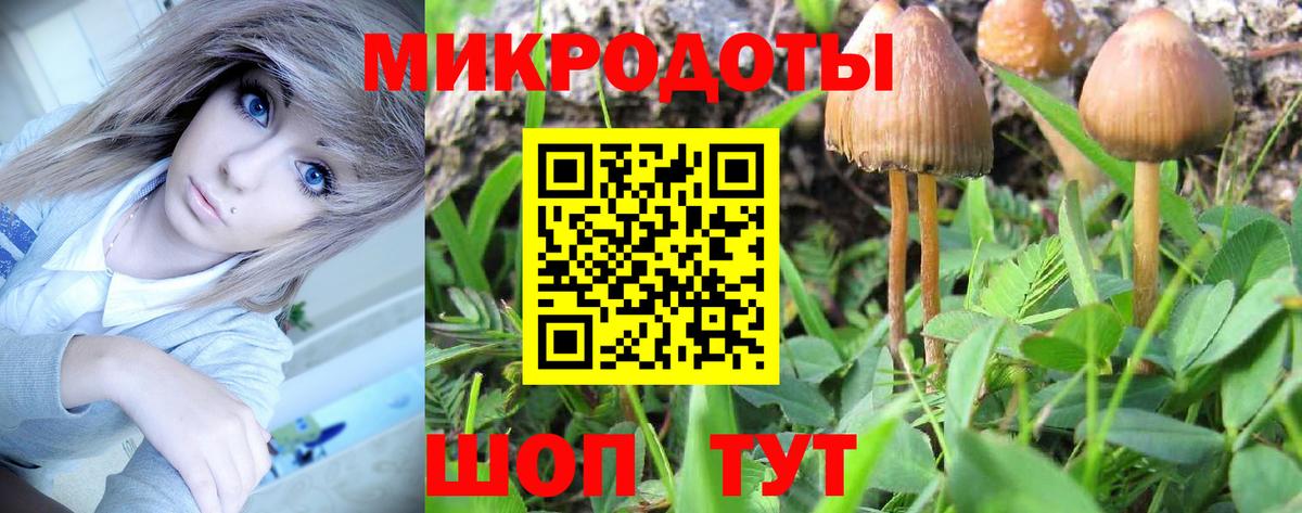 Рузаевка  Псилоцибиновые грибы мухоморы  Вход с VPN  Галлюциногенные грибы мицелий 